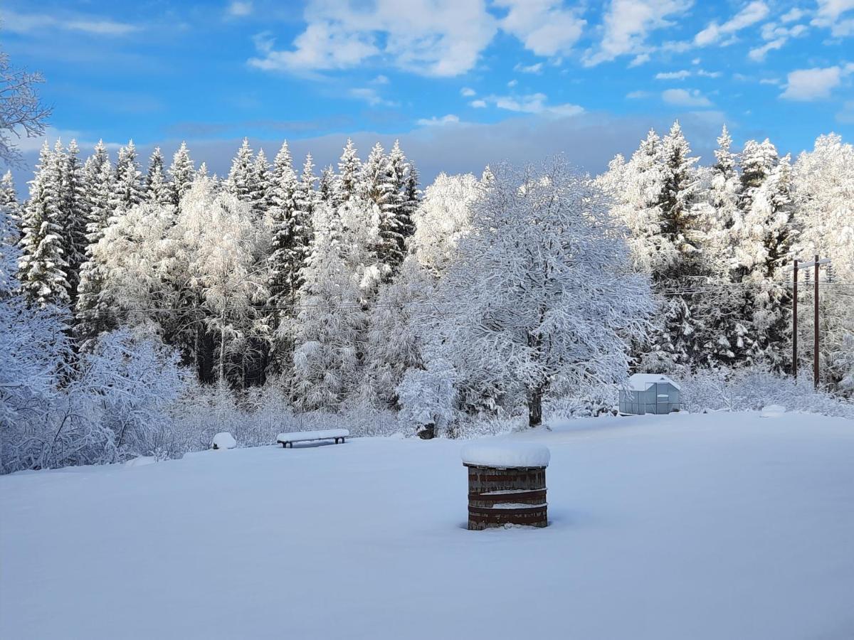 Geijersholms Herrgard Hagfors Exteriér fotografie